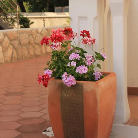 Lägenhet 8215a Pašman