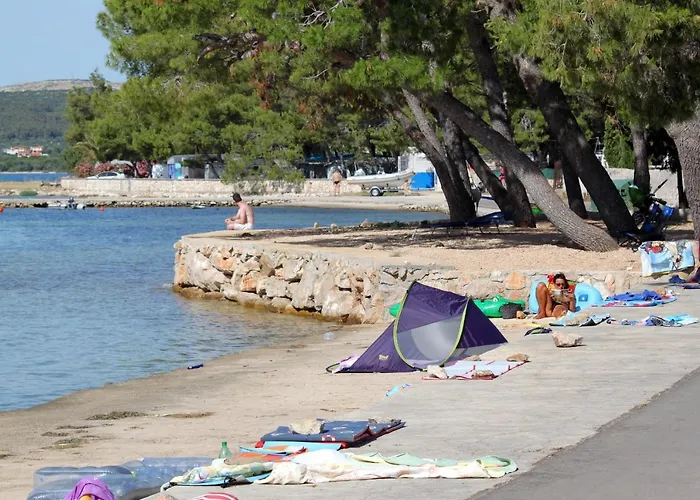 8215a * Пашман